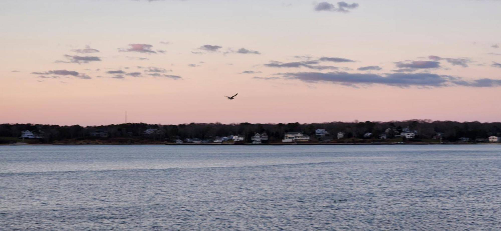 Ocean View Terrace Motel Hampton Bays Exterior foto